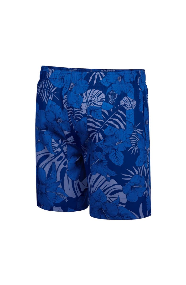 COLOSSEUM Men's Colosseum Royal Air Force Falcons The Dude Swim Shorts, Alternate, color, 