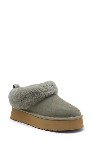Ugg ® Tazzelle Genuine Shearling Collar Slipper In Moss Green