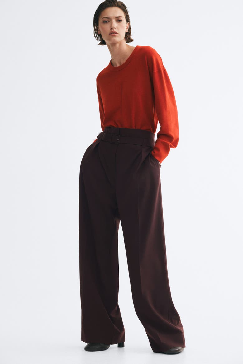 Paper-Bag Pants With Belt, Alternate, color, Dark brown