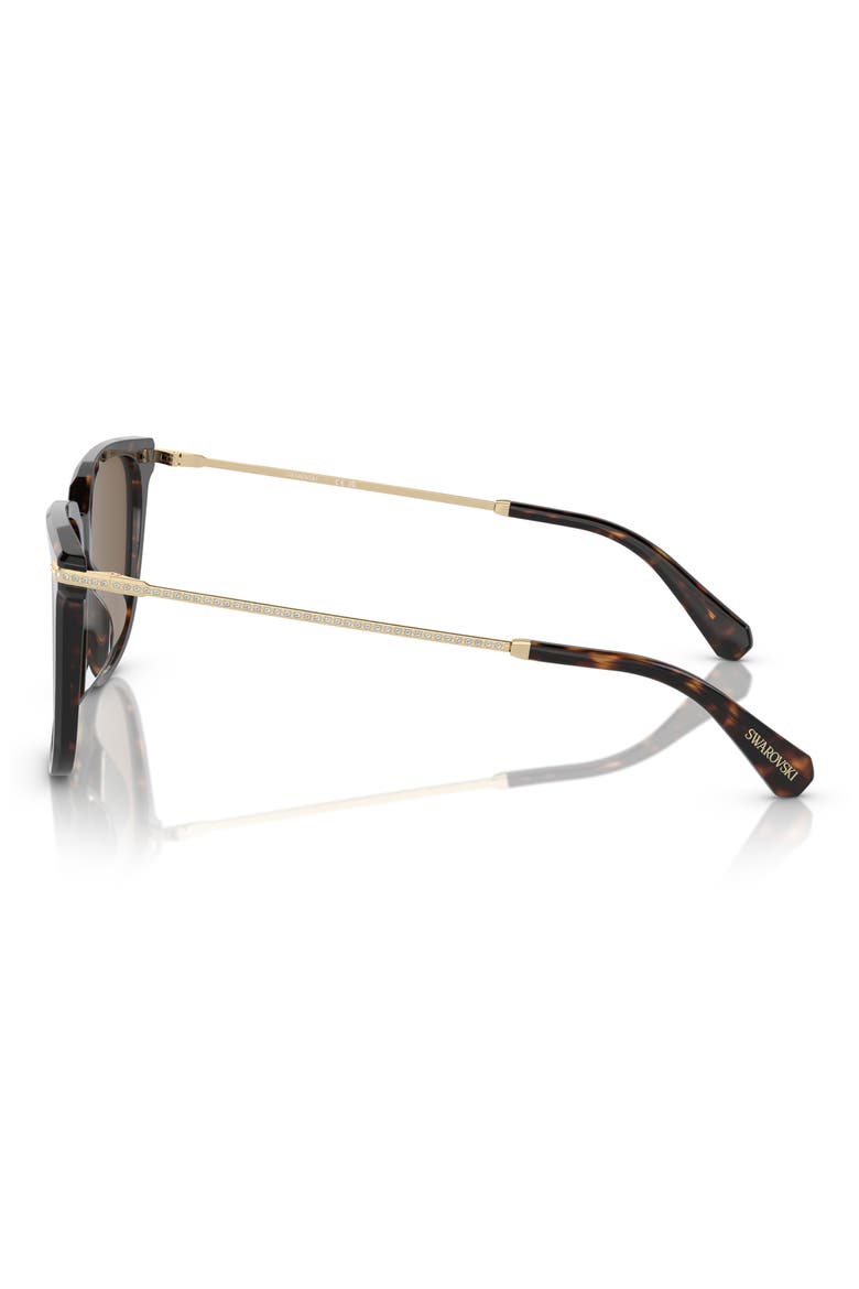 55mm Square Sunglasses, Alternate, color, DARK HAVANA / BROWN