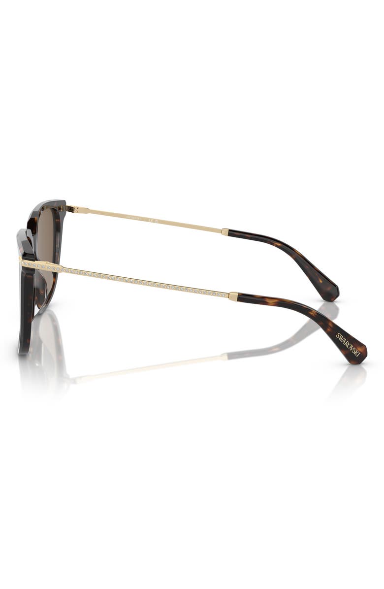 Swarovski 55mm Square Sunglasses, Alternate, color, Dark Havana / Brown