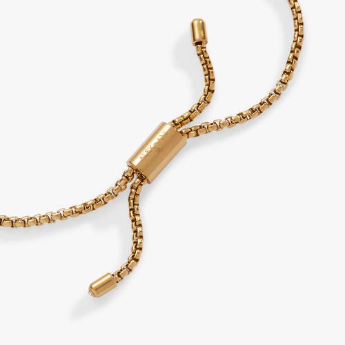 Alex And Ani Rainbow Ombre Pave Bolo Bracelet