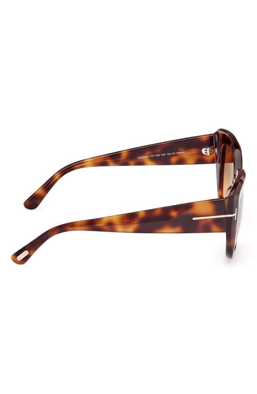 Tom Ford Saltzman 53mm Gradient Butterfly Sunglasses