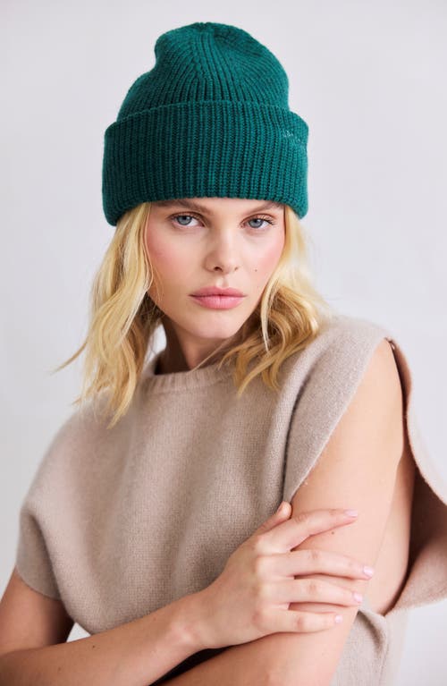 Arctic Fox & Co. Arctic Fox & Co The Embroidered Merino Wool Beanie In Green