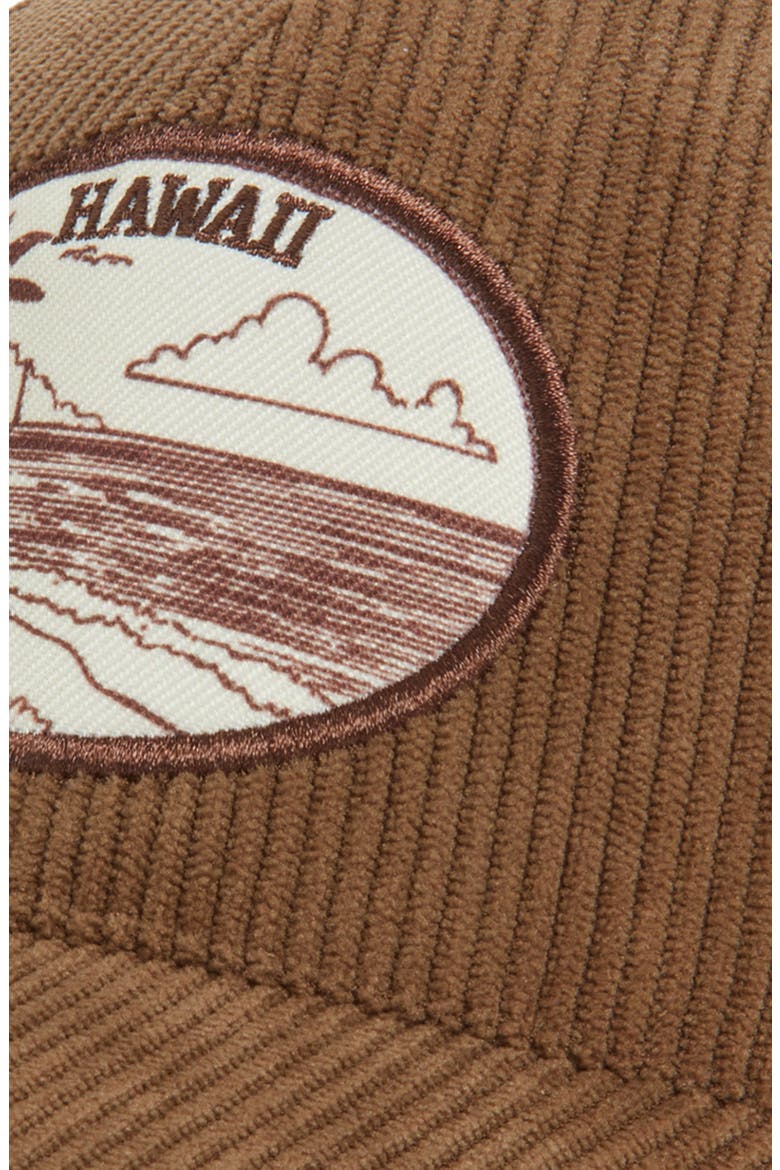 Corduroy Baseball Cap, Alternate, color, BROWN- HAWAII