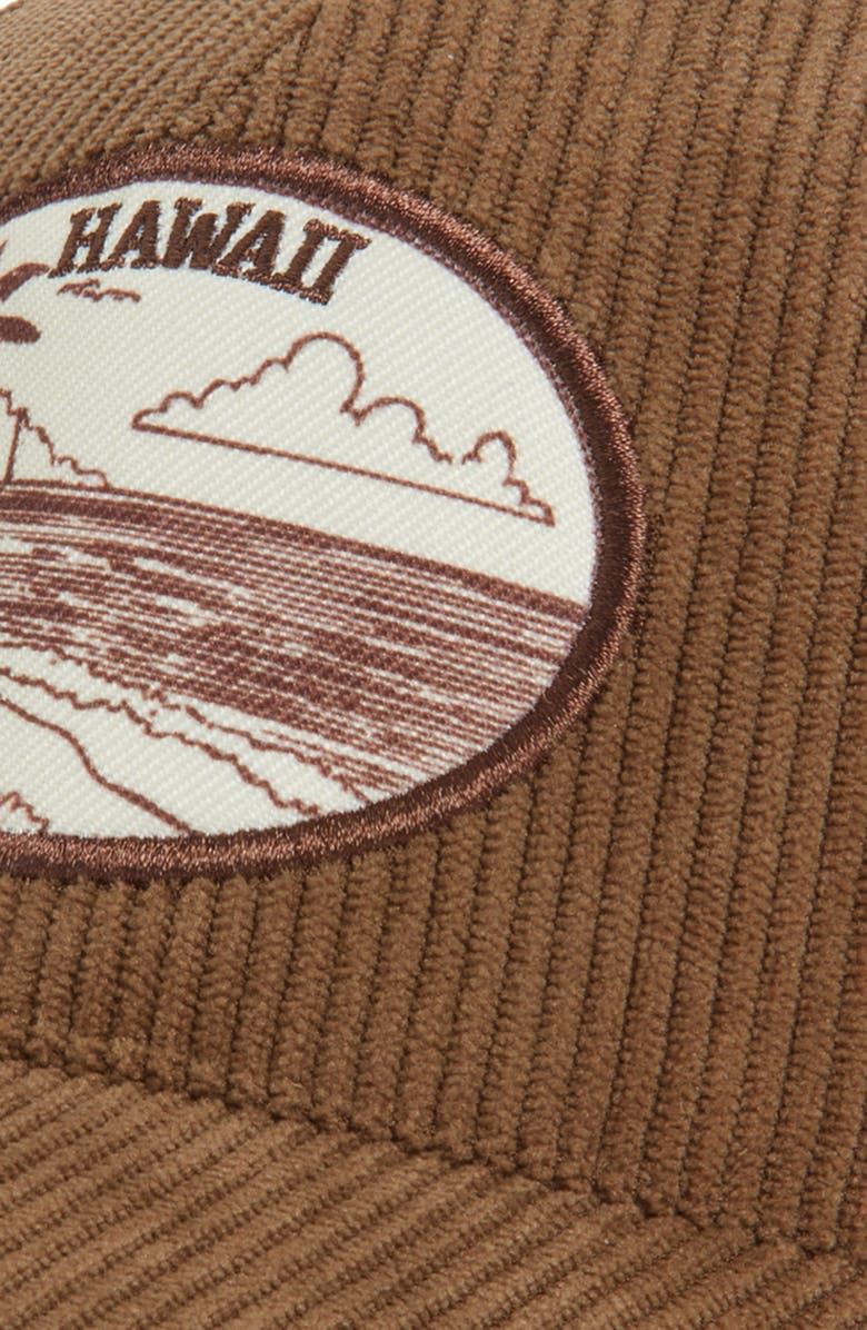 BP. Corduroy Baseball Cap, Alternate, color, Brown- Hawaii