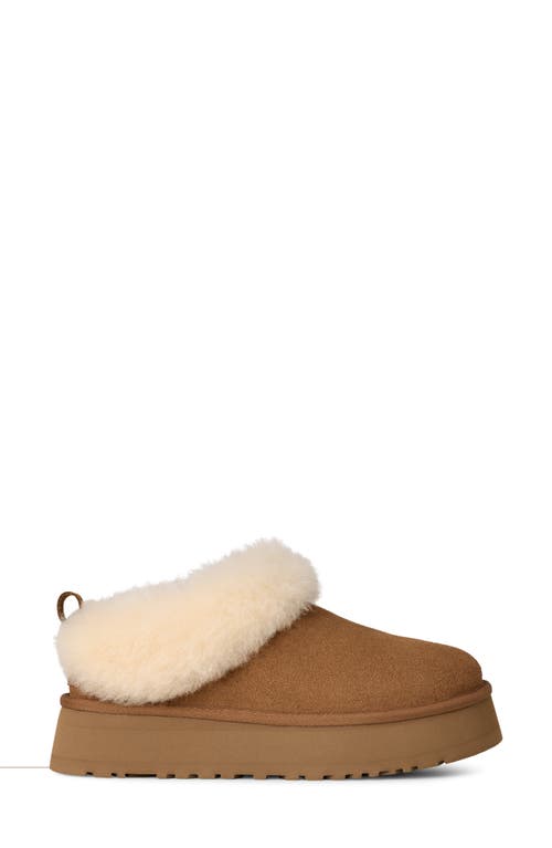 Ugg(r) Tazzelle Genuine Shearling Collar Slipper In Brown
