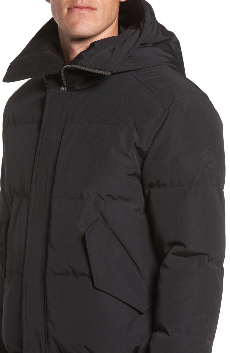 Cole Haan Hooded Down & Feather Fill Bomber Jacket, Alternate, color,