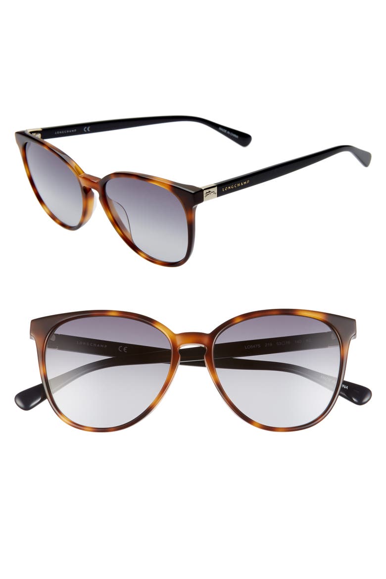 Le Pliage 53mm Gradient Cat Eye Sunglasses, Main, color, HAVANA/BLUE