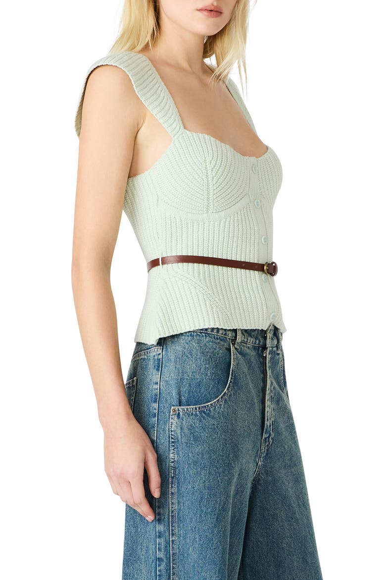 Preslee Belted Sweater Tank, Alternate, color, POWDER PUFF