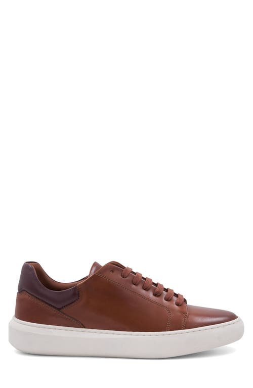 Bruno Magli Salvatore Sneaker In Cognac