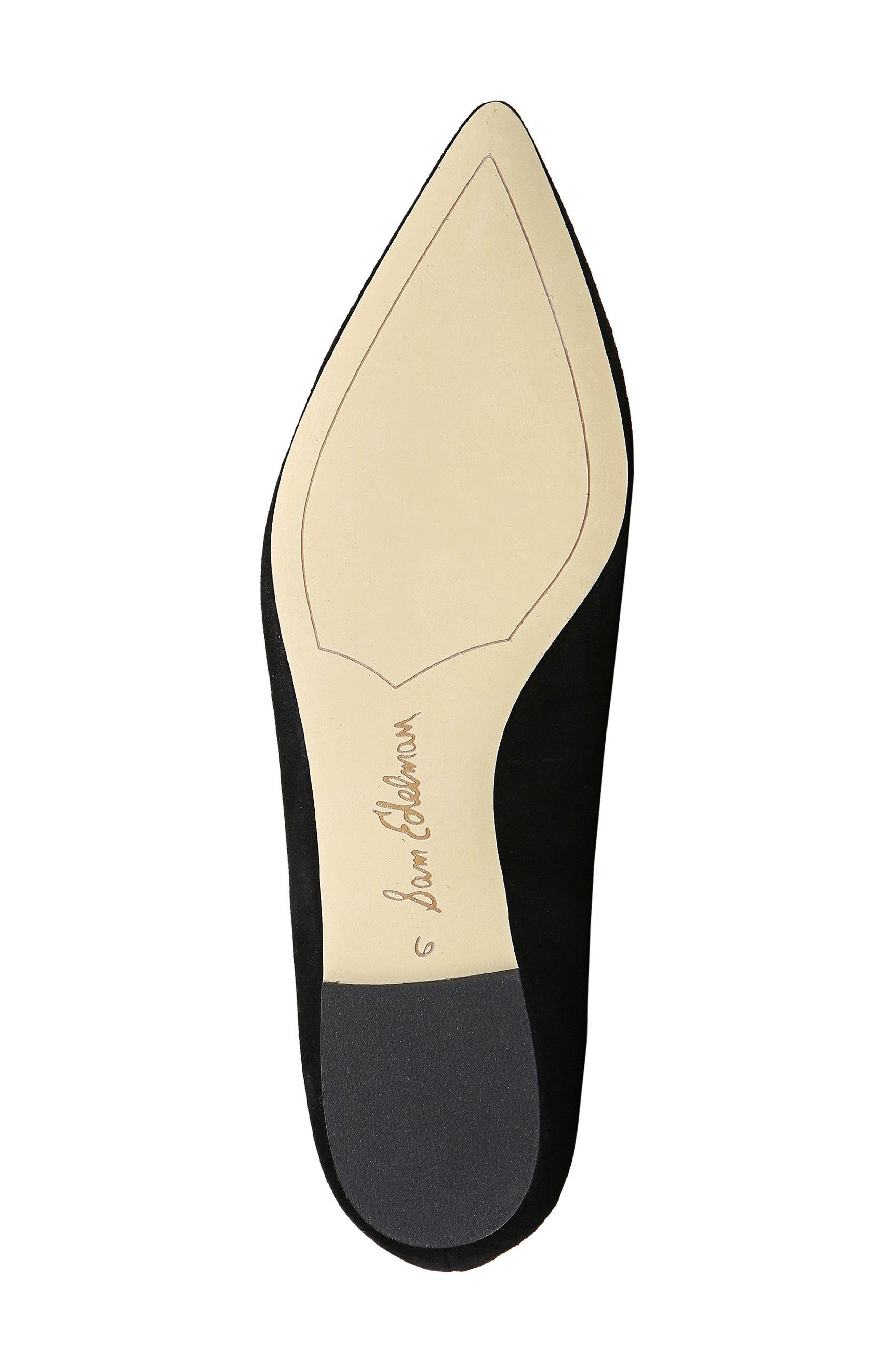 Sam Edelman 'Rae' Pointy Toe Ballet Flat, Alternate, color, 