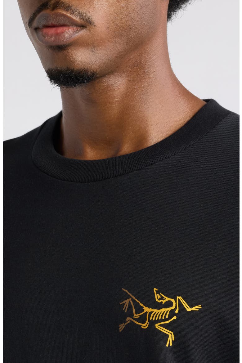 Kragg Cotton Logo Graphic T-Shirt, Alternate, color, 24K BLACK