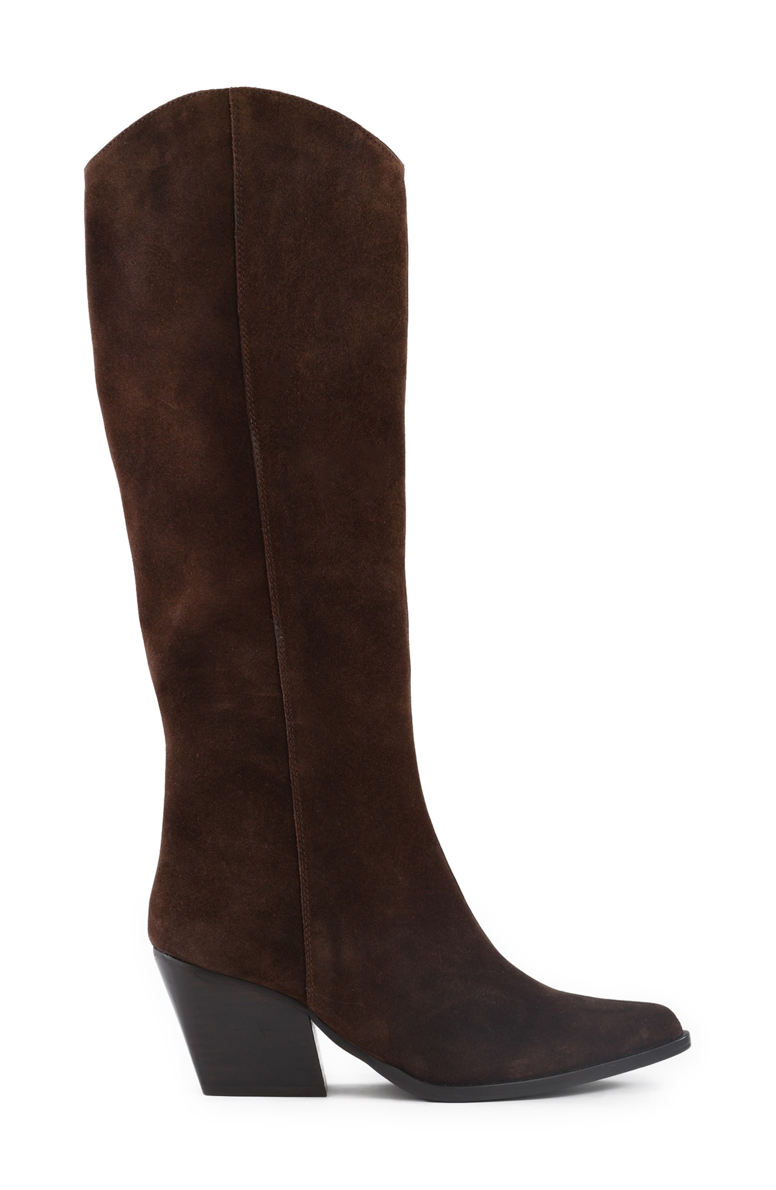 Begging You Pointed Toe Boot, Alternate, color, DARK BROWN SUEDE