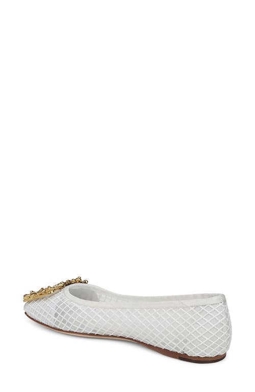 SARTO BY FRANCO SARTO SARTO BY FRANCO SARTO MAYA BALLET FLAT 