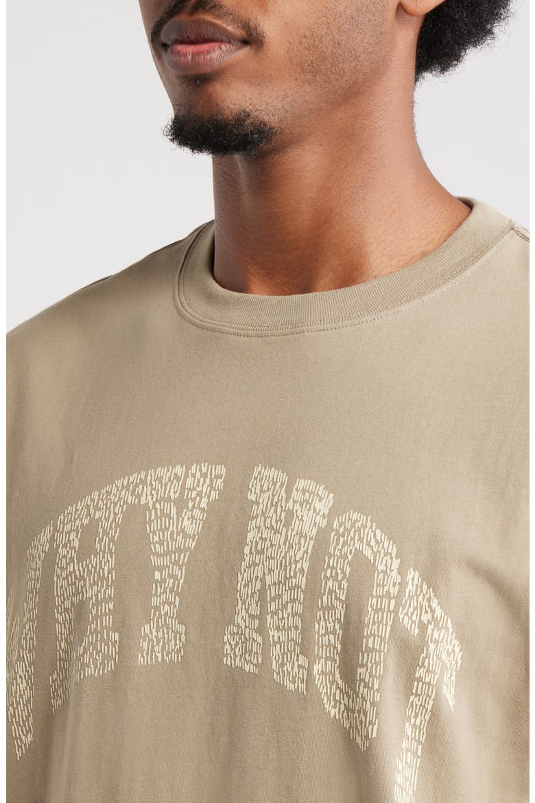 Why Not Oversize Cotton T-Shirt, Alternate, color, TAUPE