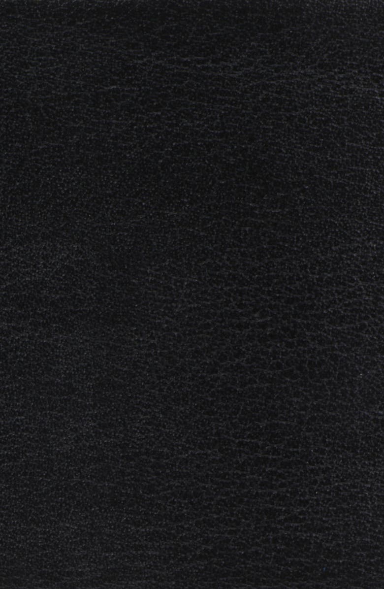 MICHAEL Michael Kors Michael Kors Women's Wide Logo Belt, Alternate, color,