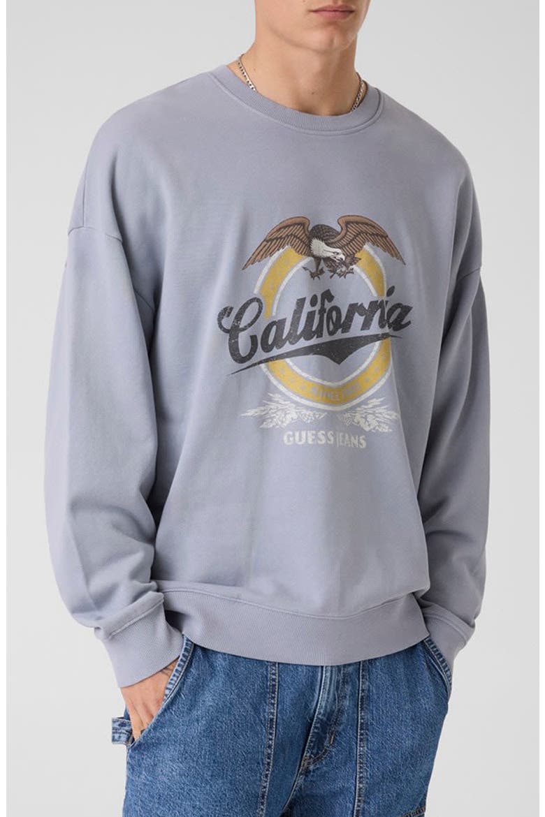 Eagle Graphic Sweatshirt, Main, color, LIGHT BLUE