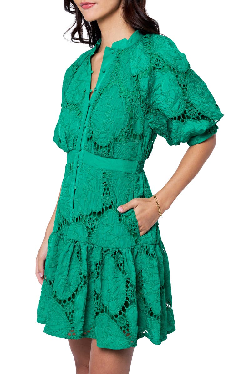 CIEBON Steph Floral Embroidered Puff Sleeve Minidress, Alternate, color, Green