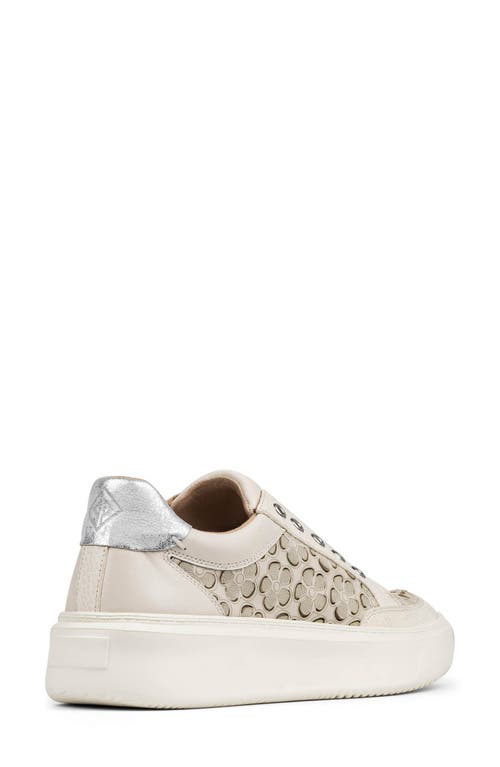 DONALD PLINER DONALD PLINER MIKKO LACELESS SNEAKER