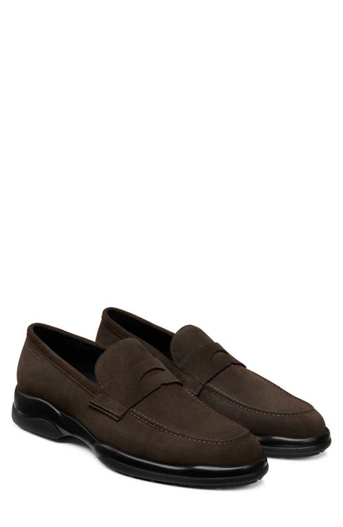 Stuart Weitzman Chad Penny Loafer In Brown