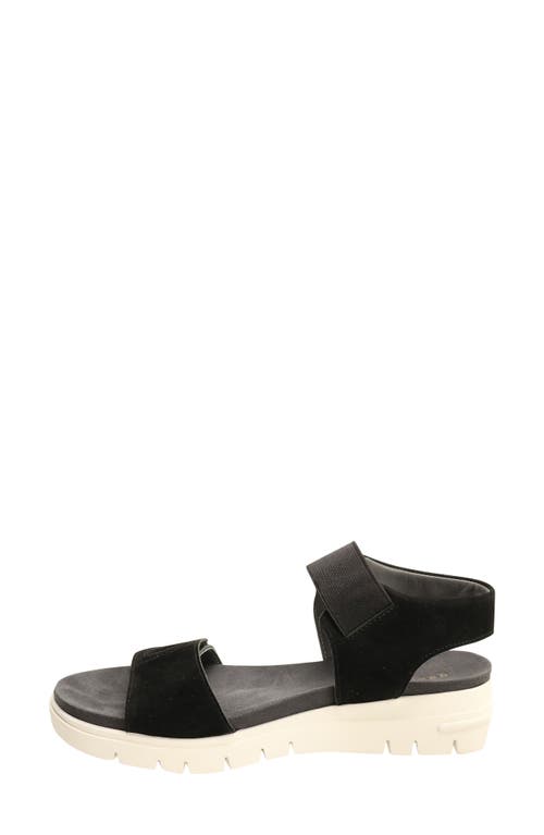 David Tate Papaya Slingback Sandal In Black