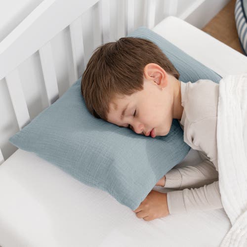 Comfy Cubs Toddler Pillow With Soft Muslin Pillowcase, Pack Of 2 In Pacific Blue