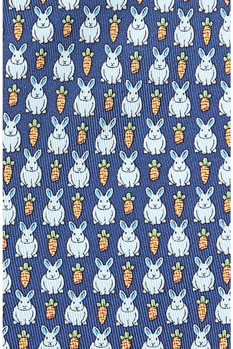 Kids' Bunny & Carrots Silk Tie, Alternate, color, MOONSHINE