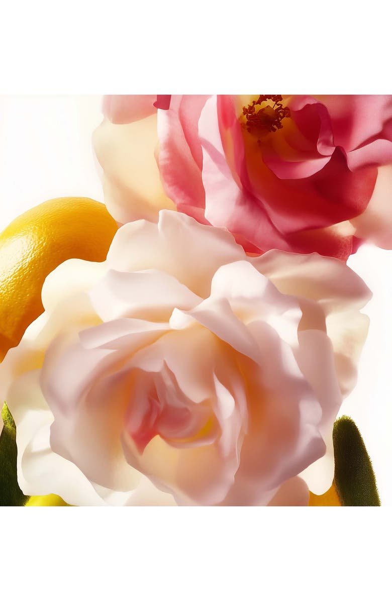 House of Sillage Whispers of Truth Fragrance Travel Refill Set, Alternate, color, 