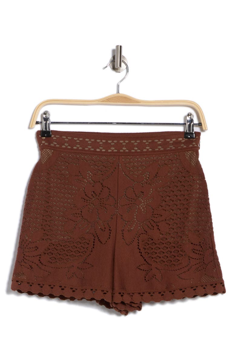 Valentino Garavani Cotton Blend Lace Shorts, Alternate, color,