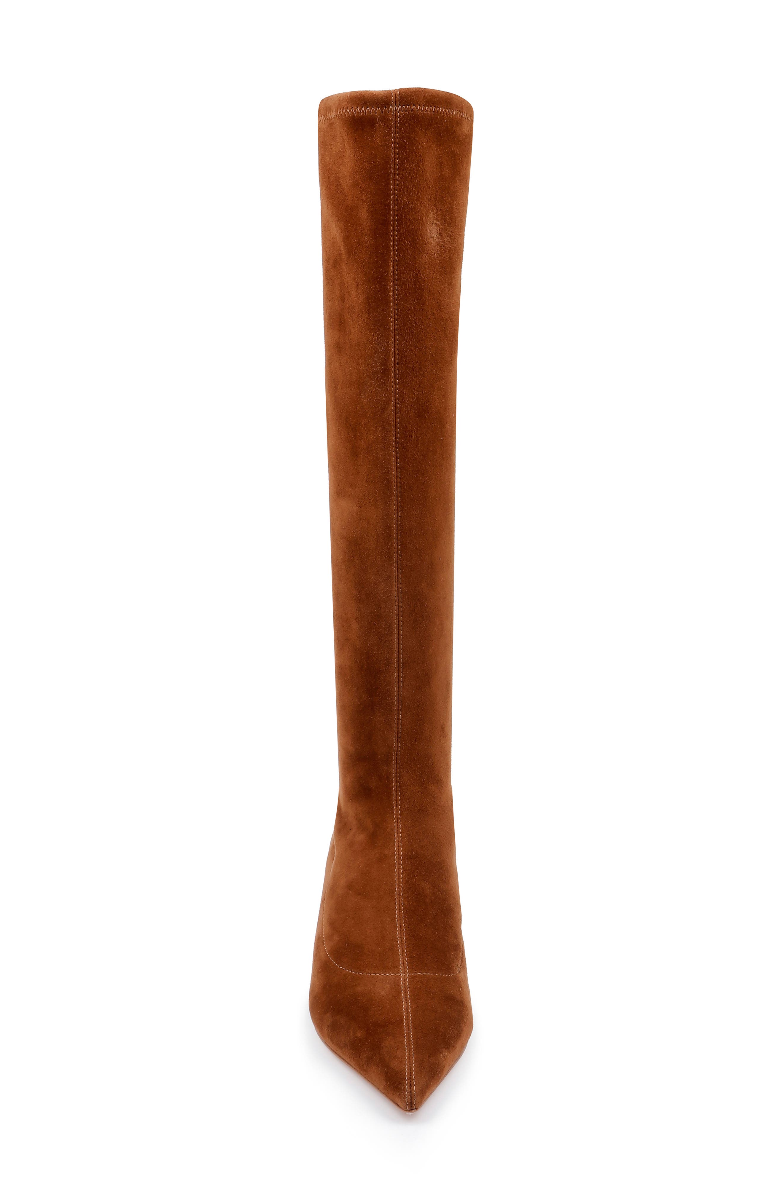 Emilie Pointed Toe Kitten Heel Knee High Boot, Alternate, color, BUCKSKIN SUEDE