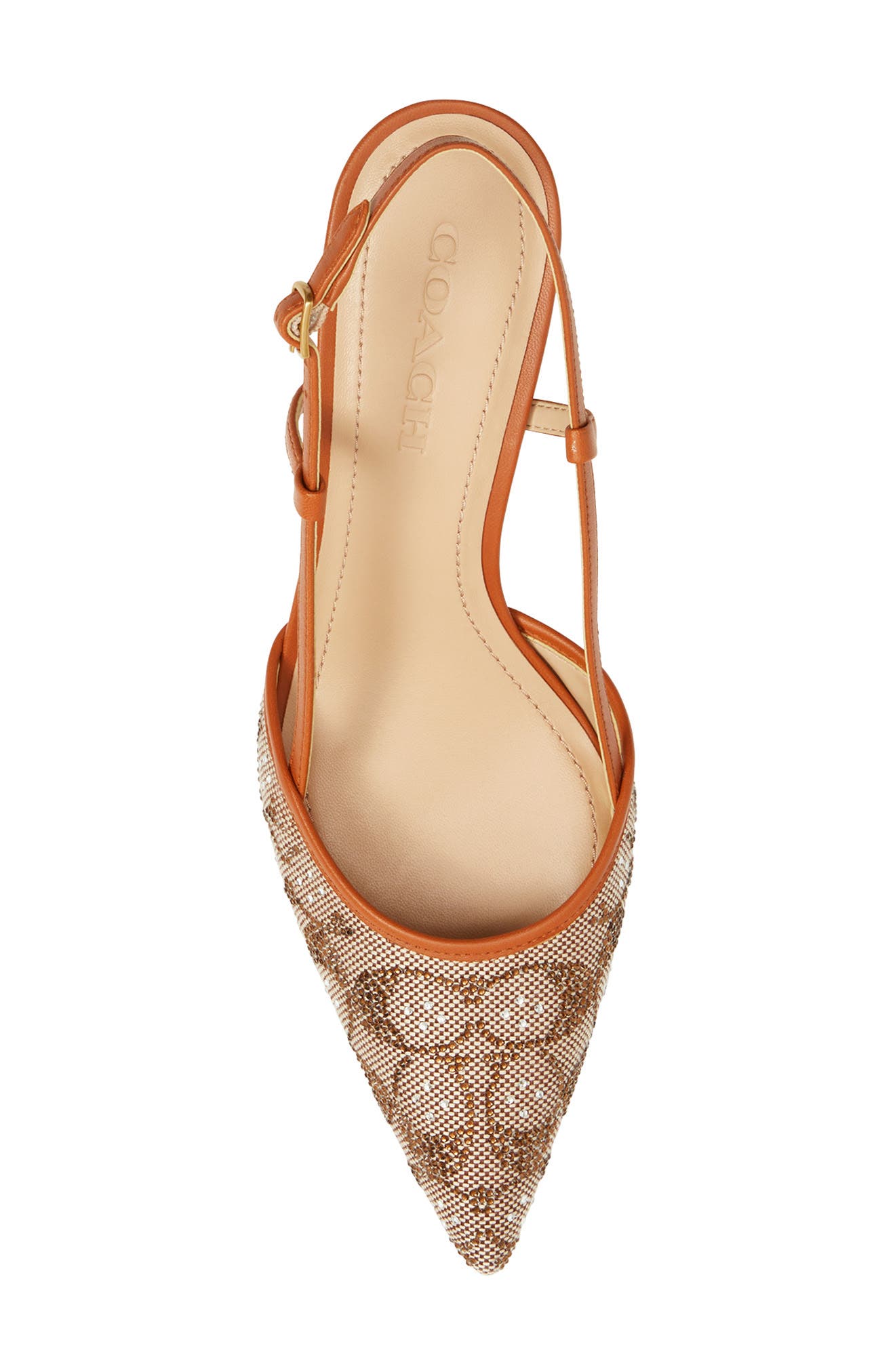 COACH Rosie Slingback Pointed Toe Pump, Alternate, color, 