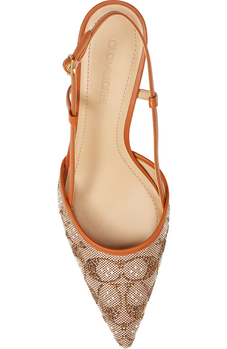 COACH Rosie Slingback Pointed Toe Pump, Alternate, color,