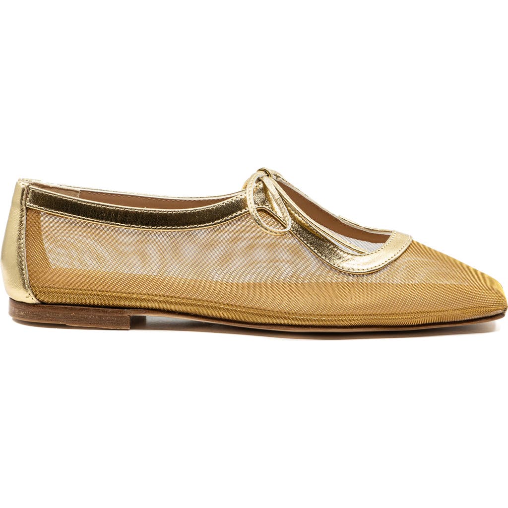 Andrea Gomez Andrea Gomez Amelia Clear Mesh Ballet Flat In Gold
