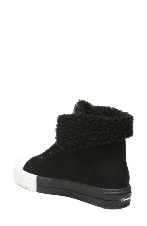 Circus Ny By Sam Edelman Circus By Sam Edelman Sophi Faux Fur Sneaker In Black Multi