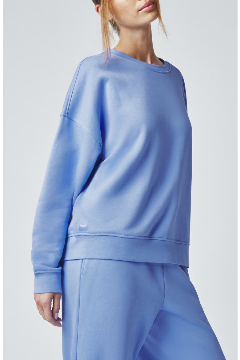 Cozy Crush Oversize Sweatshirt, Alternate, color, PROVENCE
