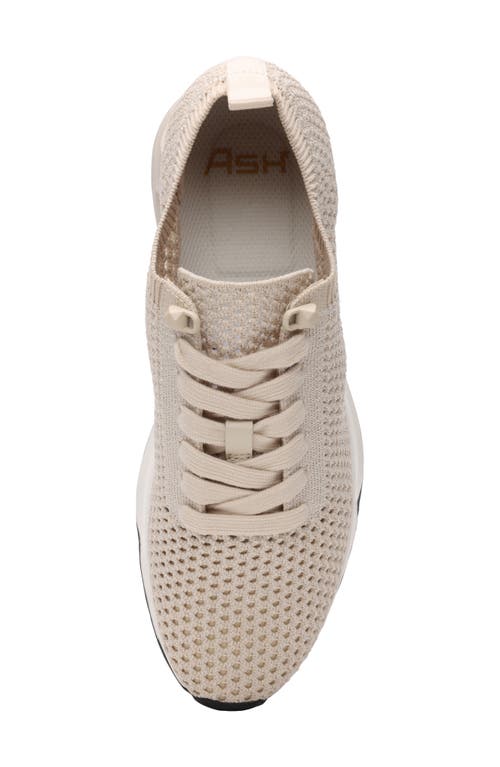 Ash Laika Mesh Sneaker In Talc