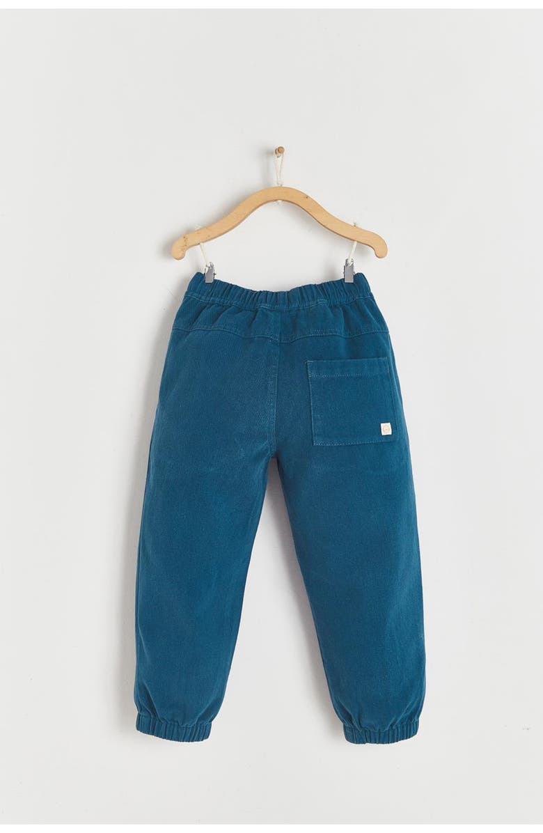 Babycottons Premium Cotton Twill Pants For Infant, Alternate, color, Blue