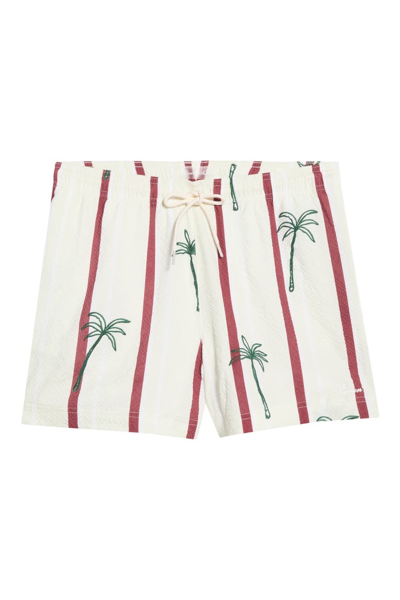 Palm Embroidered Stripe Swim Trunks, Main, color, GREEN/ WHITE