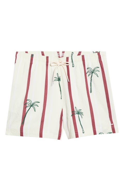 Palm Embroidered Stripe Swim Trunks