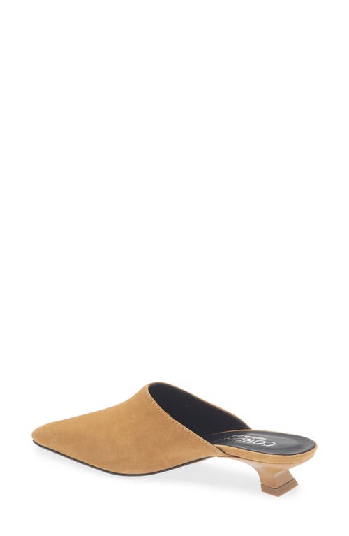 Cordani Ronan Kitten Heel Mule In Brown