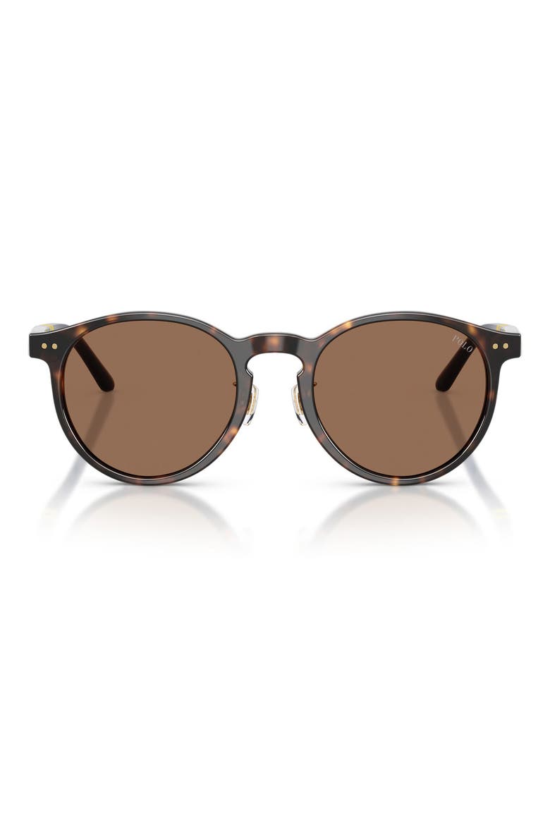 50mm Round Sunglasses, Main, color, SHINY DARK HAVANA / BROWN