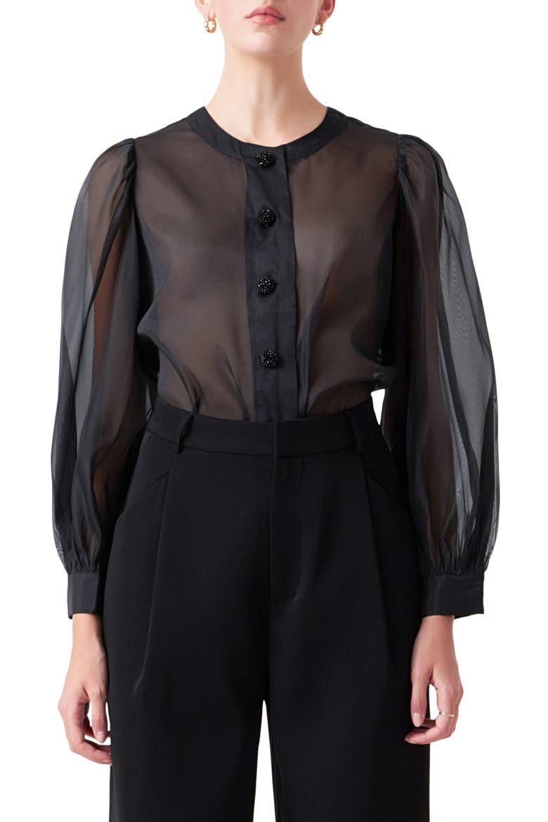 Sheer Organza Top, Main, color, BLACK