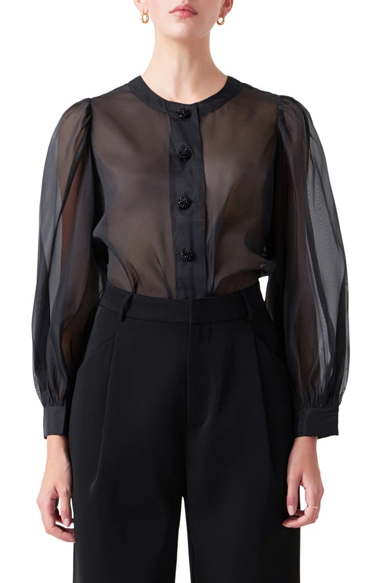 Endless Rose Sheer Organza Top, Main, color, Black