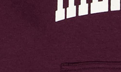 Tommy Hilfiger Kids' Logo Fleece Graphic Hoodie In Burgundy