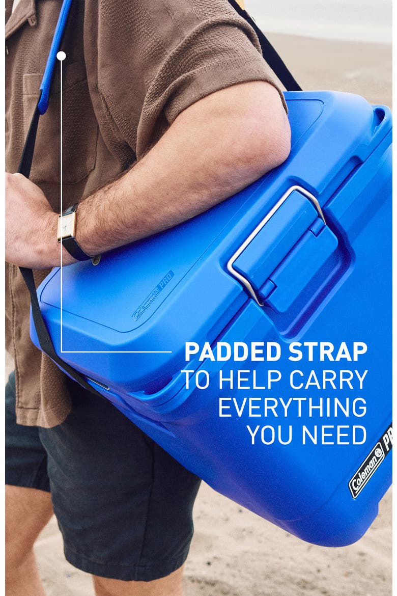 Pro Series 25-Quart Hard Cooler, Alternate, color, Neptune