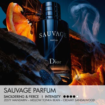 正規品 Dior SAUVAGE PARUM 30ml Dior Sauvage Original Perfume for Men, 1.0 oz Refillable