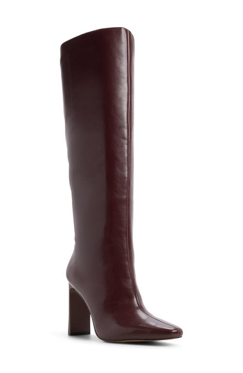 Aldo Elyne Knee High Boot In Brown