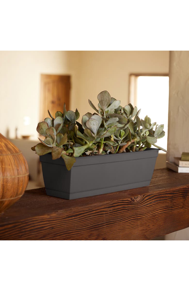 Bloem 24 Inch Dura Cotta Window Box Planter, Charcoal, Alternate, color, Gray
