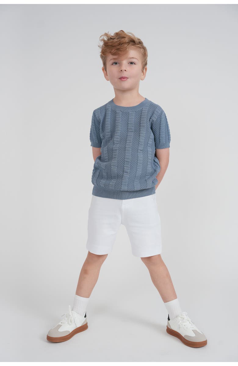 Mr. Mr. Textured Column Knit Pullover Sweater, Alternate, color, Sandstorm